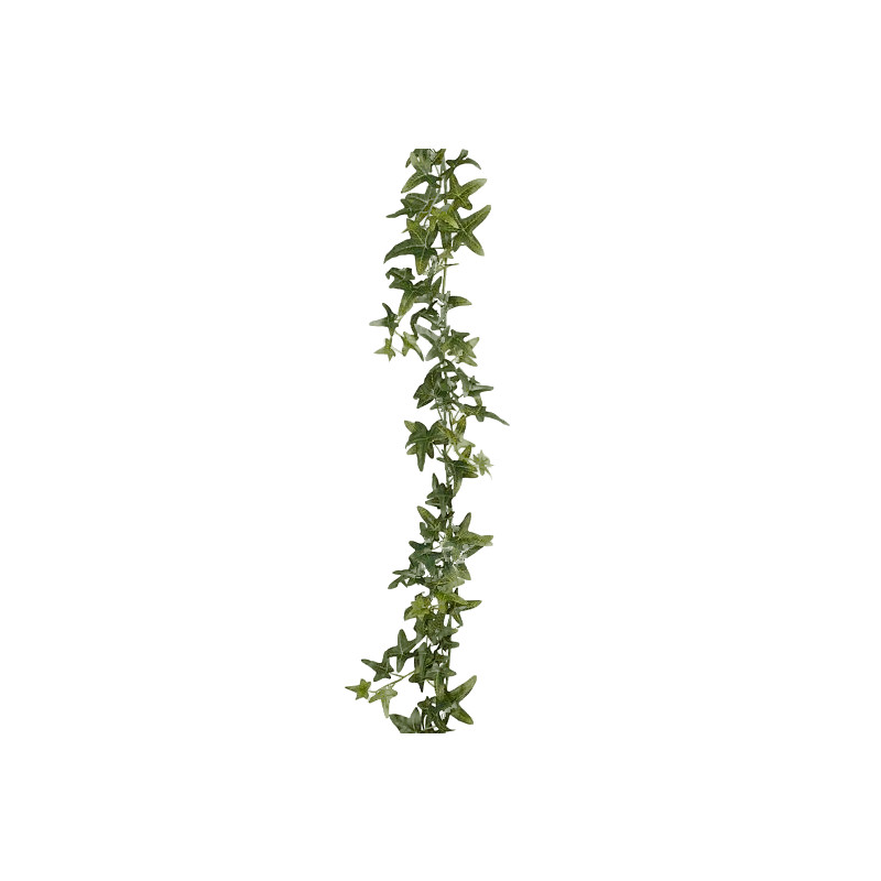 Guirlande lierre vert l180xb12xh5cm de Jardinerie Bordeaux Libourne Gironde dans E009