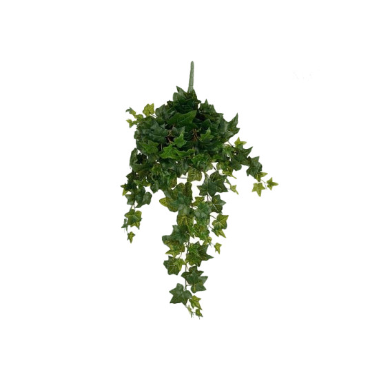 Lierre a suspendre vert l80xb25xh5cm de Jardinerie Bordeaux Libourne Gironde dans E009