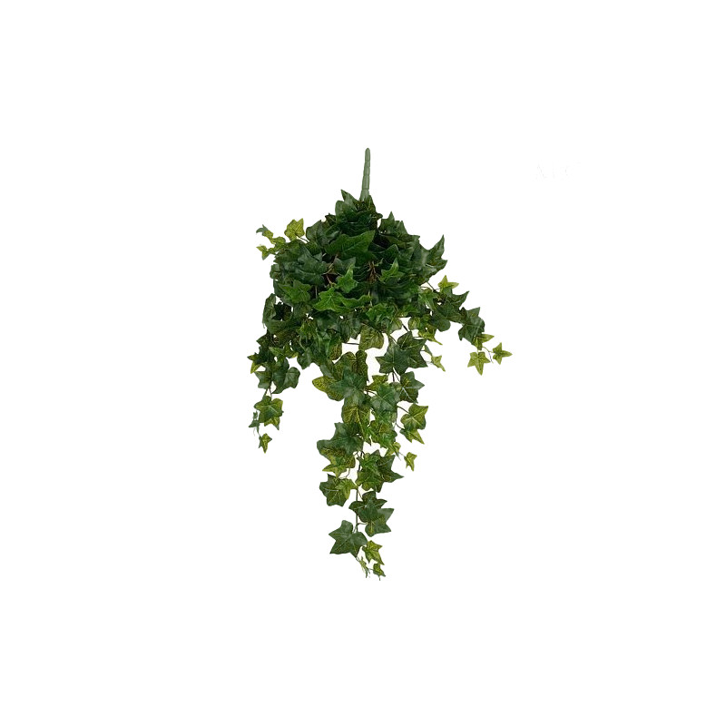 Lierre a suspendre vert l80xb25xh5cm de Jardinerie Bordeaux Libourne Gironde dans E009