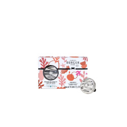 Diffuseur voiture fresh spirit de Lampe Berger Paris - parfums et diffuseurs dans M1081
