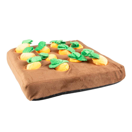 Tapis de friandise potager de Laroy - aliments et d'accessoires pour animaux de compagnie dans L043