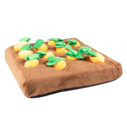 Tapis de friandise potager de Laroy - aliments et d'accessoires pour animaux de compagnie dans L043