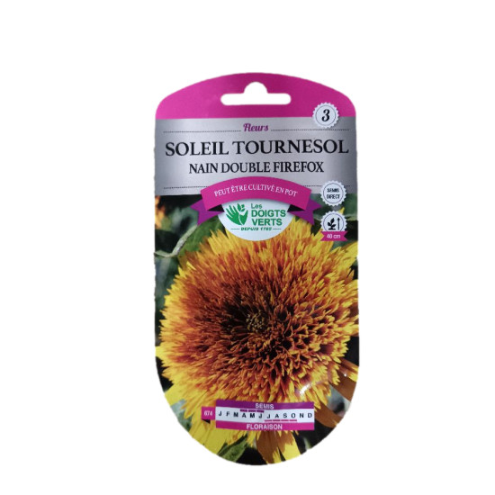 Tournesol nain fire fox - graines de Les Doigts Verts - graines de Gironde à Bordeaux dans L084