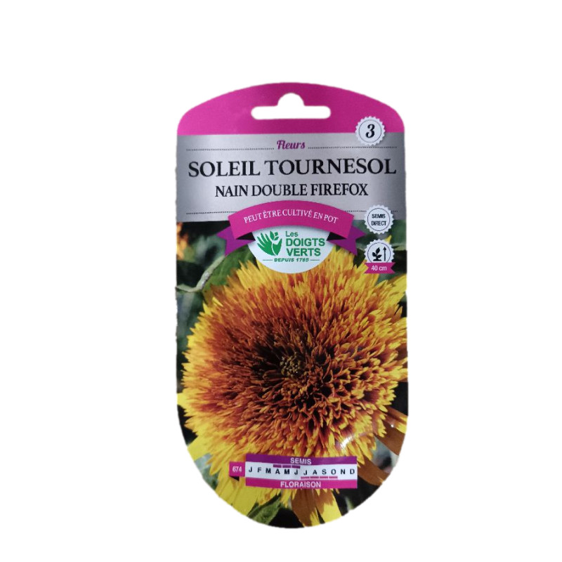 Tournesol nain fire fox - graines de Les Doigts Verts - graines de Gironde à Bordeaux dans L084