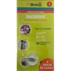 Carnet Coccinelle Fly 80 Larves  Biotop