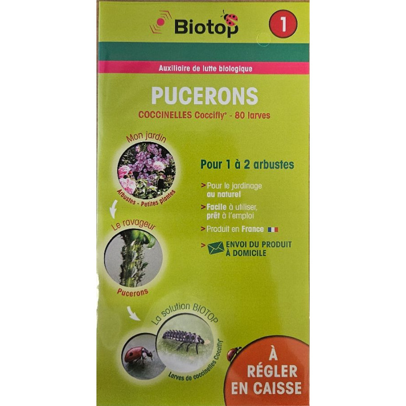 Carnet Coccinelle Fly 80 Larves  Biotop