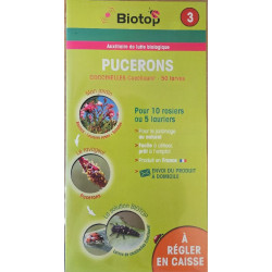 Carnet Coccinelle 50 Larves Biotop