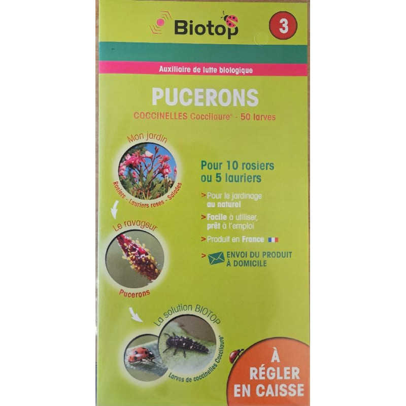 Carnet Coccinelle 50 Larves Biotop