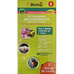 Cryptolaemus 25 Adultes Biotop