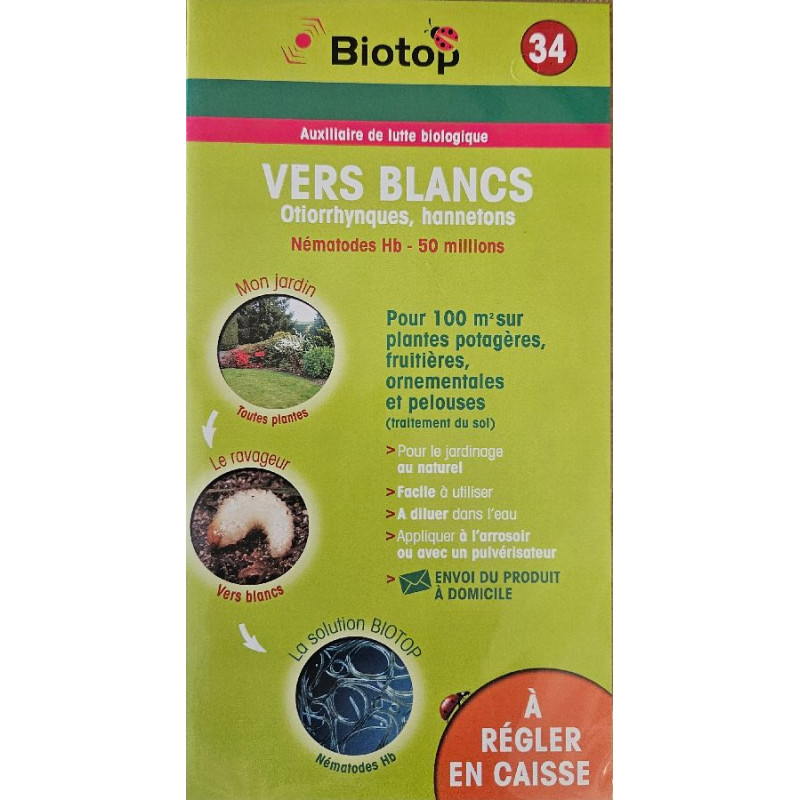 Pochette Nématode Hb 50 M Anti Vers Blanc Biotop