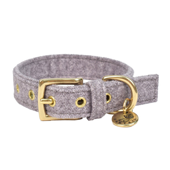 /Collier pour chien støv gris 30cmx20mm xxs de Animalerie Libourne et Bordeaux - Gironde dans Colliers pour chien