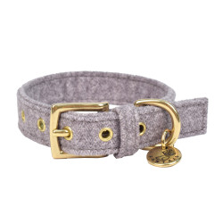 /Collier pour chien støv gris 30cmx20mm xxs de Animalerie Libourne et Bordeaux - Gironde dans Colliers pour chien