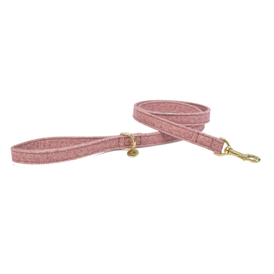 /Laisse pour chien støv rose 120cmx20mm de Animalerie Libourne et Bordeaux - Gironde dans Laisses pour chien