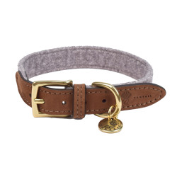 /Collier pour chien blend gris 40cmx20mm s de Animalerie Libourne et Bordeaux - Gironde dans Colliers pour chien