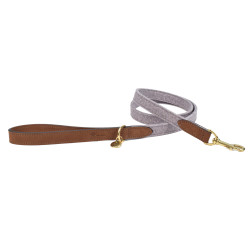 Laisse pour chien blend gris 120cmx20mm de Animalerie Libourne et Bordeaux - Gironde dans V0601