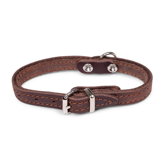 /Collier cuir huile brun 32cmx12mm xs de Animalerie Libourne et Bordeaux - Gironde dans Colliers pour chien