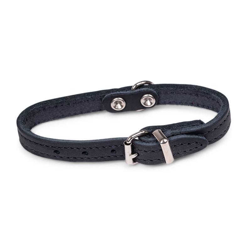/Collier cuir huile noir 32cmx12mm xs de Animalerie Libourne et Bordeaux - Gironde dans Colliers pour chien