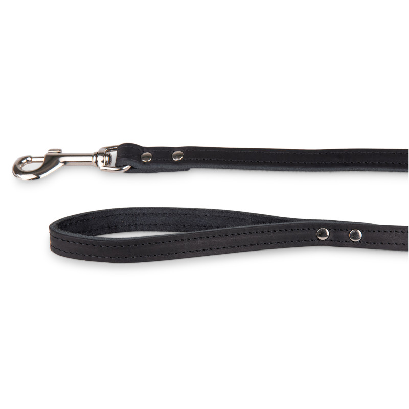 /Laisse cuir huile noir 100cmx14mm s de Animalerie Libourne et Bordeaux - Gironde dans Laisses pour chien