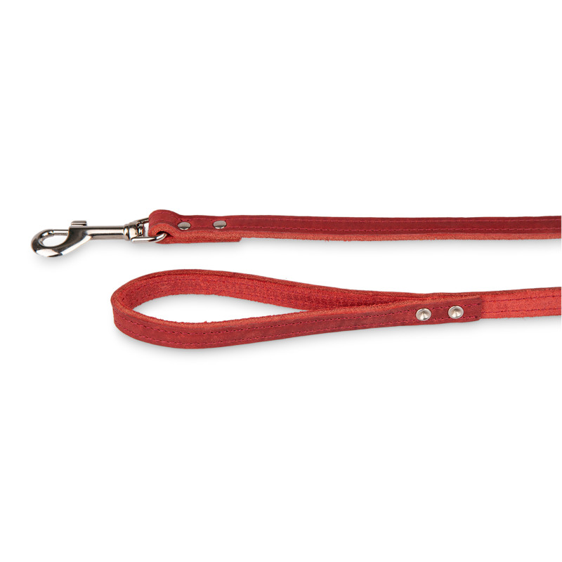 /Laisse cuir huile rouge 100cmx14mm s de Animalerie Libourne et Bordeaux - Gironde dans Laisses pour chien