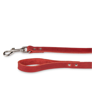 /Laisse cuir huile rouge 100cmx18mm m-l de Animalerie Libourne et Bordeaux - Gironde dans Laisses pour chien