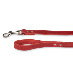 /Laisse cuir huile rouge 100cmx18mm m-l de Animalerie Libourne et Bordeaux - Gironde dans Laisses pour chien
