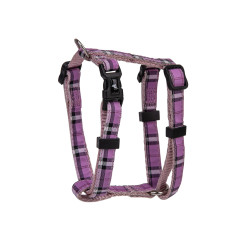 Harnais ecossais violet 20-35cmx10mm xs de Animalerie Libourne et Bordeaux - Gironde dans V0601