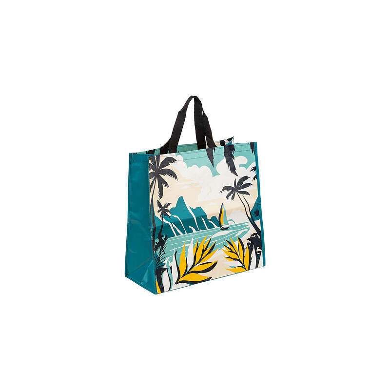 Sac shopping plage de Jardinerie Bordeaux Libourne Gironde dans J031