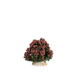 buisson rouge - decor de Santons de Provence Escoffier dans E053