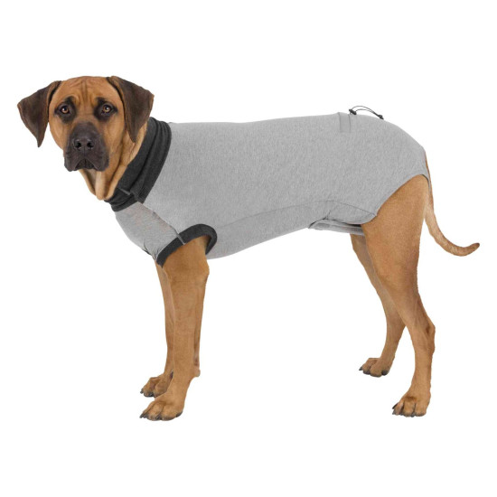 Body de protection. xs–s 30cm. gris de Trixie - Produit pour animaux dans T050