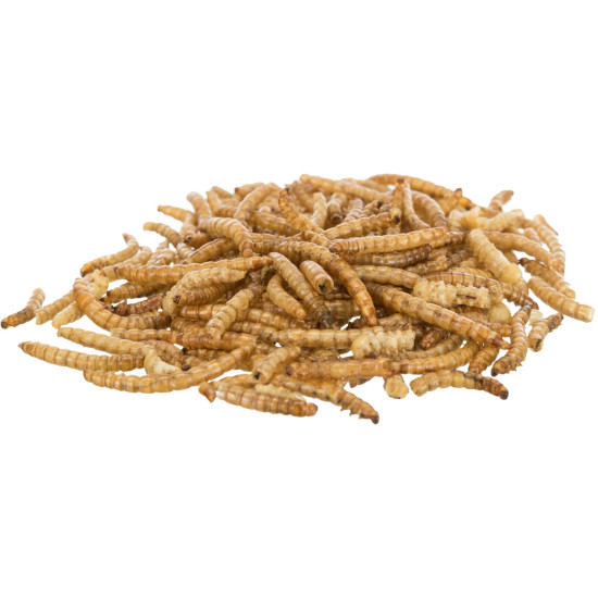 Larves de vers de farine. seches. 70 g de Trixie - Produit pour animaux dans T050