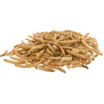 Larves de vers de farine. seches. 70 g de Trixie - Produit pour animaux dans T050