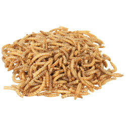 Vers de farine. seches. 70 g de Trixie - Produit pour animaux dans T050