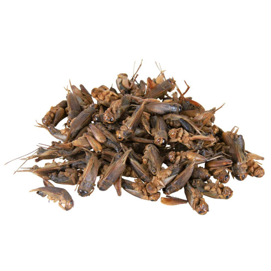 Grillons. seches. 25 g de Trixie - Produit pour animaux dans T050