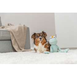 Roi grenouille. peluche. 42cm de Trixie - Produit pour animaux dans T050
