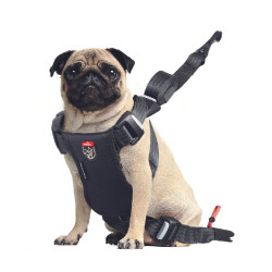 /Harnais travel safe s noir de Zolux - Produit pour animaux dans Harnais pour chien
