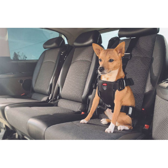 /Harnais travel safe s noir de Zolux - Produit pour animaux dans Harnais pour chien