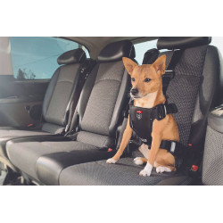 /Harnais travel safe s noir de Zolux - Produit pour animaux dans Harnais pour chien