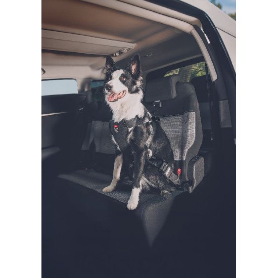 /Harnais travel safe m noir de Zolux - Produit pour animaux dans Harnais pour chien