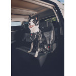 /Harnais travel safe m noir de Zolux - Produit pour animaux dans Harnais pour chien