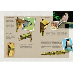 Un jardin pour les oiseaux de Jardinerie Bordeaux Libourne Gironde dans C022