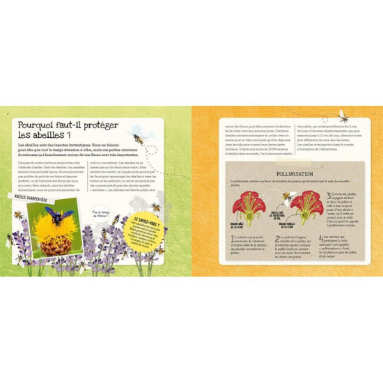 Nos amies les abeilles de Jardinerie Bordeaux Libourne Gironde dans C022
