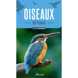 Oiseaux de france de Jardinerie Bordeaux Libourne Gironde dans C022