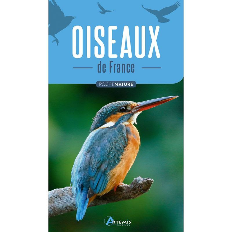 Oiseaux de france de Jardinerie Bordeaux Libourne Gironde dans C022
