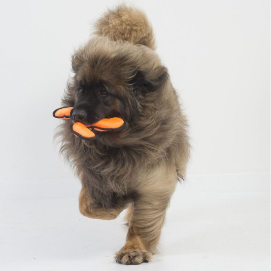 Triskèle pour chien extra résistant 26 cm de Jardinerie Bordeaux Libourne Gironde dans C022