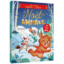 Mon premier roman de l'avent - noel des animaux de Jardinerie Bordeaux Libourne Gironde dans C022