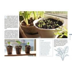 Mini-potager pour toutes les situations de Jardinerie Bordeaux Libourne Gironde dans C022