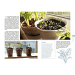 Mini-potager pour toutes les situations de Jardinerie Bordeaux Libourne Gironde dans C022