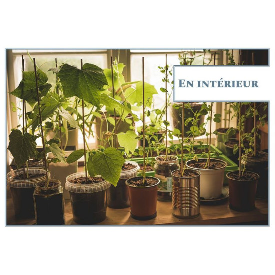 Mini-potager pour toutes les situations de Jardinerie Bordeaux Libourne Gironde dans C022