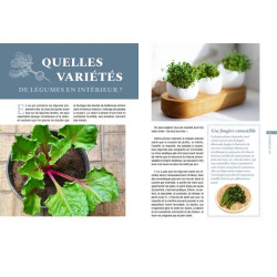 Mini-potager pour toutes les situations de Jardinerie Bordeaux Libourne Gironde dans C022