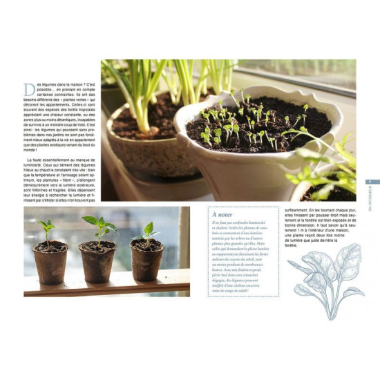Mini-potager pour toutes les situations de Jardinerie Bordeaux Libourne Gironde dans C022